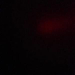 Meet your Posher, Frankie